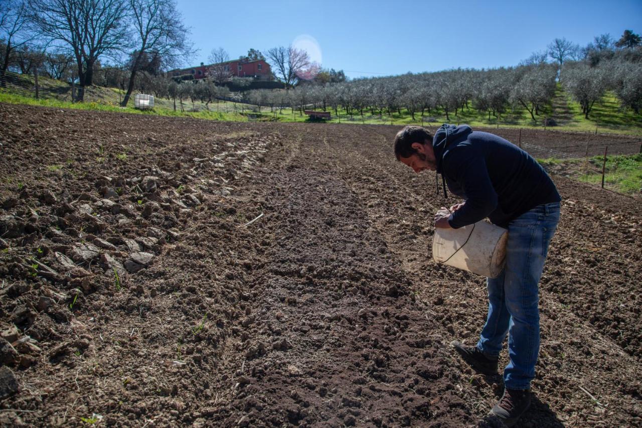 Locanda Agricola Posapiano Montecarlo Bagian luar foto