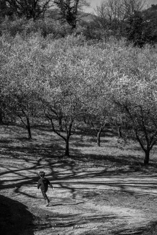 Locanda Agricola Posapiano Montecarlo Bagian luar foto