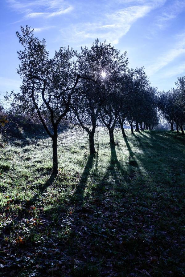 Locanda Agricola Posapiano Montecarlo Bagian luar foto