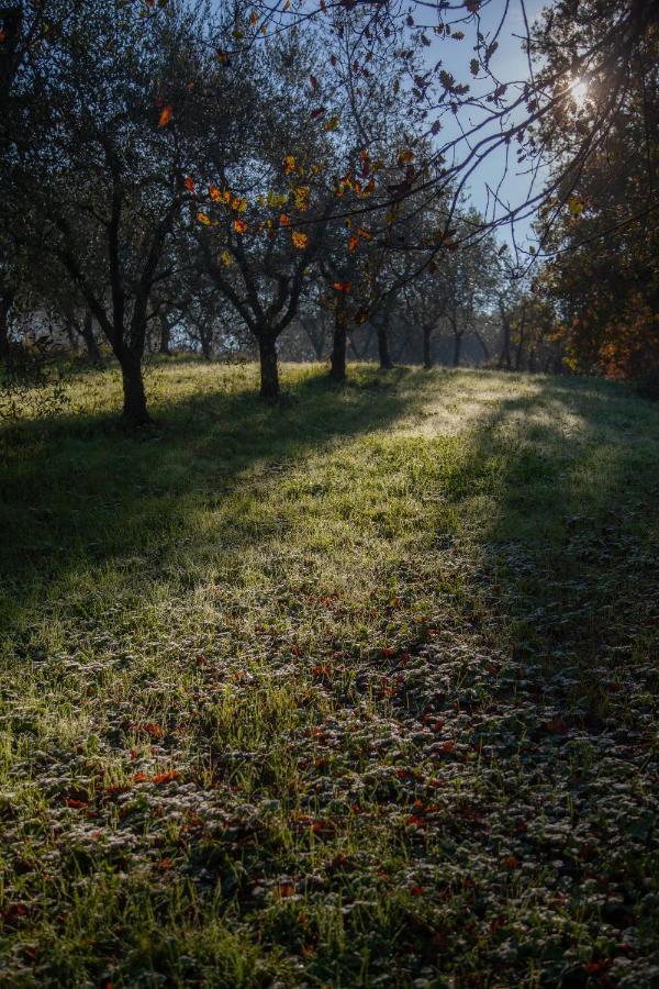Locanda Agricola Posapiano Montecarlo Bagian luar foto